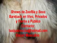 Gay beastiality video of guy having sex with pet